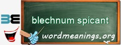 WordMeaning blackboard for blechnum spicant